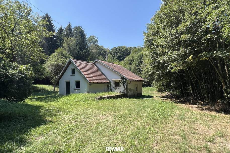 NATUR PUR - Wohnhaus in außergewöhnlicher Lage und großem Grundstück!, Haus-kauf, 110.000,€, 7433 Oberwart