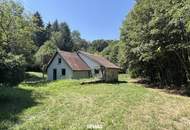 NATUR PUR - Wohnhaus in außergewöhnlicher Lage und großem Grundstück!