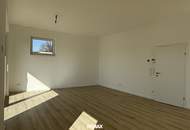 Moderne Neubau-Einfamilienvilla nahe Neulengbach