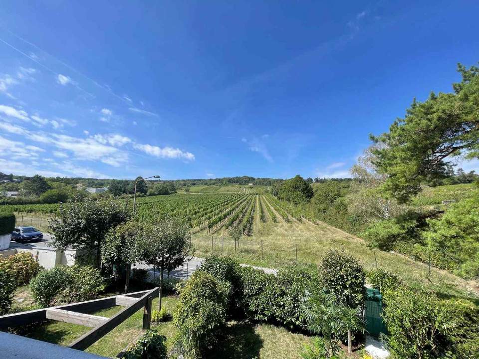 Traumhafte Wohnung mit Terrasse und Weingartenblick in absoluter Ruhelage