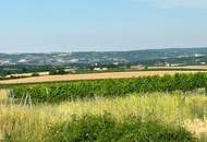 PREISREDUKTION: ALTES, STARK SANIERUNGSBEDÜRFTIGES BAUERNHAUS MIT WEINGARTEN UND WEINKELLER im WEINVIERTEL, NÄHE RAVELSBACH - HOLLABRUNN, GRÜNRUHELAGE IN KELLERGASSE