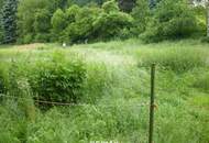 WIESE AM STAUSEE - € 750,- JAHRESPACHT