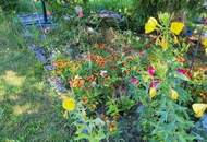 Zu schön um wahr zu sein um diesen Preis! Schauen Sie sich das an!