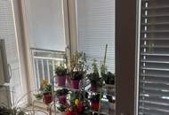 Wohnung mit Balkon und Wintergarten