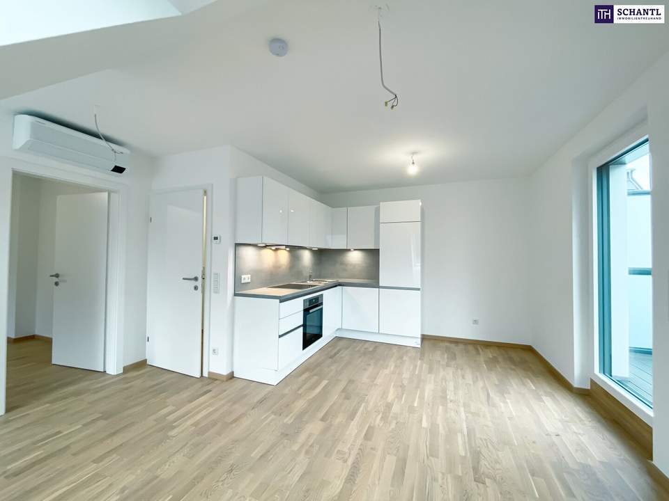 2 Zimmer mit Klimaanlage und Terrasse | Ruhelage | Badeteich Hirschstetten in Fußnähe