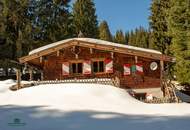 Ski-/Almhütte im Skigebiet Saalbach-Hinterglemm