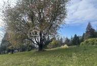 Allein... allein... entzückendes Bauernhaus in Einzellage