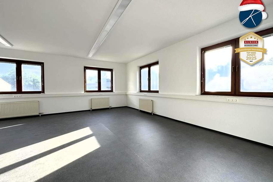 Neu renoviertes 2-Zimmer Büro im Gewerbepark Kammern, Gewerbeobjekt-miete, 570,00,€, 3550 Krems(Land)