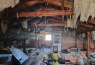 Familienidyll in Eggendorf – großzügiges Einfamilienhaus mit Terrasse und Pool