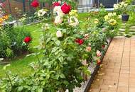 PRIVAT! Haus in Altheim 4950 mit großem Pool und schönen Garten