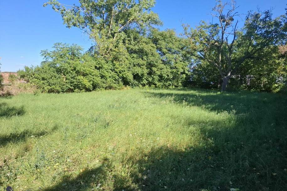 Baugrundstück in Waltersdorf an der March – 893 m² Bauland, Grund und Boden-kauf, 99.000,€, 2265 Gänserndorf