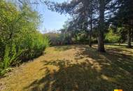 Anleger aufgepasst: gepflegtes Zweifamilienhaus auf großem Grundstück