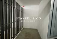 SÜDSEITIGES 3-ZIMMER-APARTMENT MIT SÜDGARTEN ( BJ 2008 )