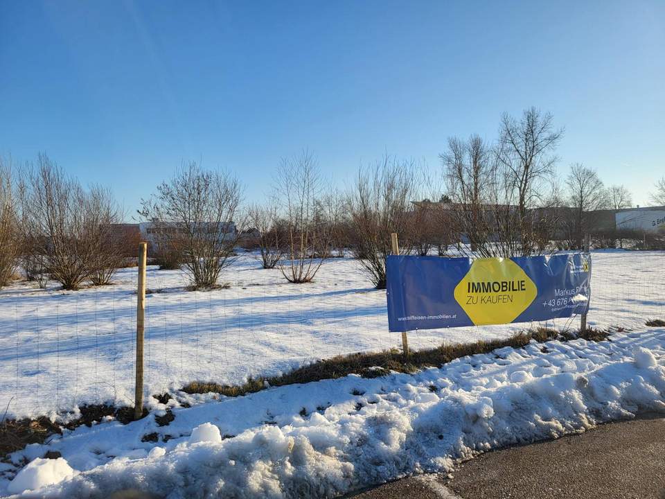 Baugrundstück Wels-Ost Ginzkeystraße