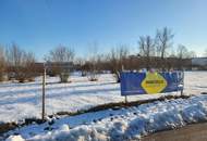 Baugrundstück Wels-Ost Ginzkeystraße