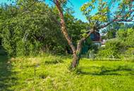 Traumgrund am Schafberg