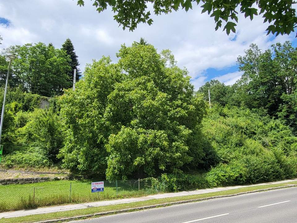 BAUGRUND IM BAULAND-KERNGEBIET NAHE WIEN