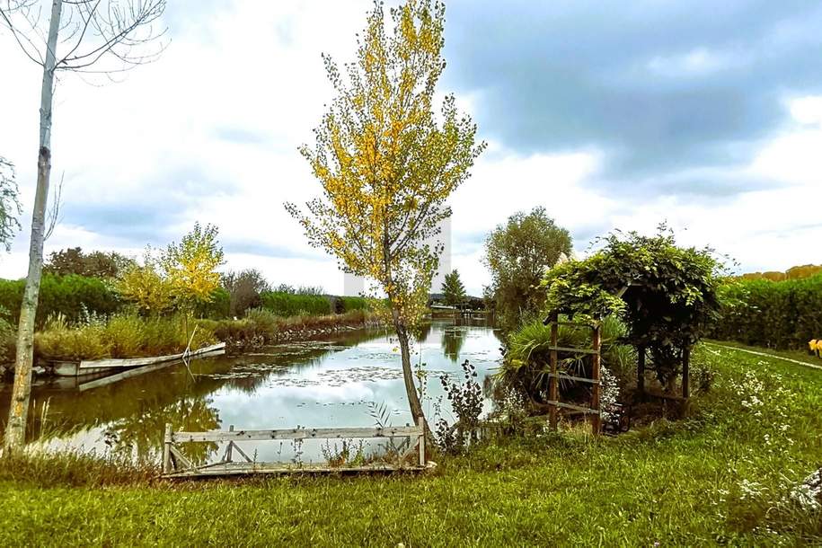ENTSPANNUNG PUR - FISCHTEICH MIT HÜTTE UND STREUOBSTWIESE, Grund und Boden-kauf, 390.000,€, 7064 Eisenstadt-Umgebung