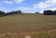 Landwirtschaftliche Nutzflächen in St. Agatha / Waizenkirchen