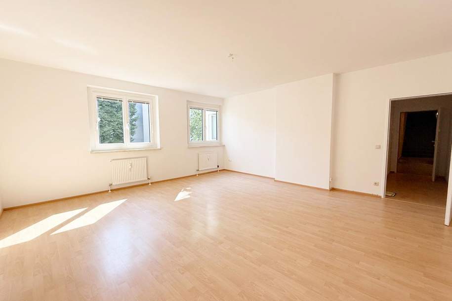 Attraktive 1 Zimmer Wohnung, ruhig und doch im Zentrum!, Wohnung-miete, 482,48,€, 4600 Wels(Stadt)