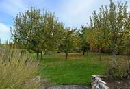GARTENPARADIES - 9.000 M² - LANDHAUS IN PARKLANDSCHAFT NUR 30 MINUTEN VON WIEN