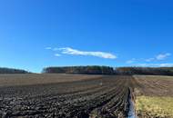 PROVISIONSFREI f. d. Käufer! GROSSE landwirtschaftliche Flächen (ca. 27 ha!) und ein Waldgrundstück! BEZIRK OBERWART!