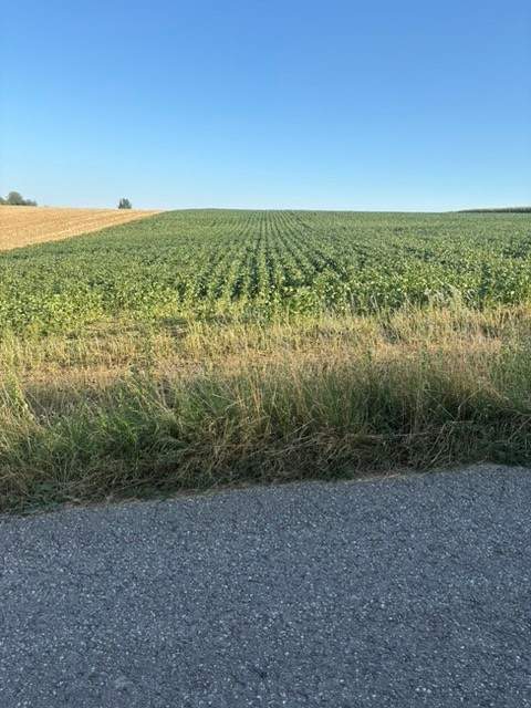 ACKERFLÄCHE IN PIXENDORF - ZUSAMMENHÄNGENDE LANDWIRTSCHAFTLICHE FLÄCHE