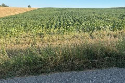 ACKERFLÄCHE IN PIXENDORF - ZUSAMMENHÄNGENDE LANDWIRTSCHAFTLICHE FLÄCHE, Grund und Boden-kauf, 301.140,€, 3451 Tulln