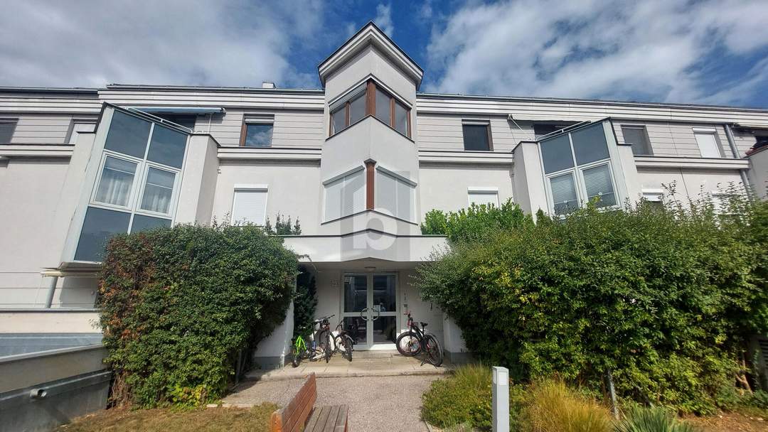 LICHTDURCHFLUTET IM HERZEN DER WACHAU