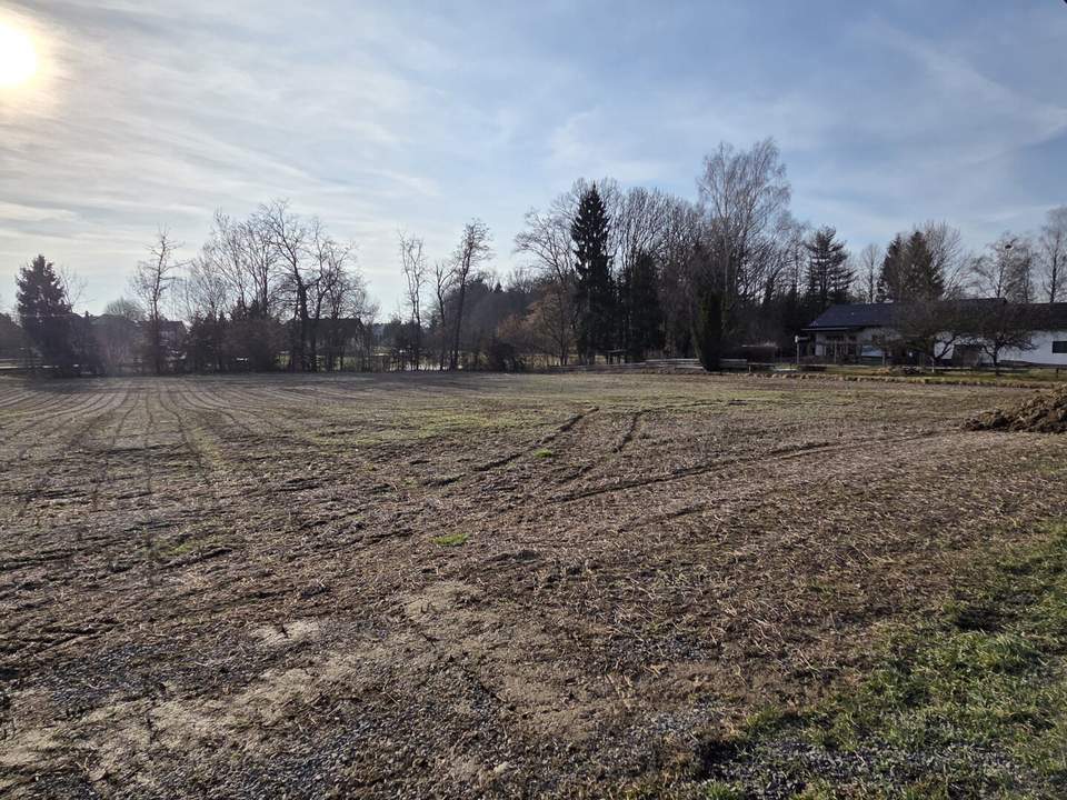 Baugrundstück im Dorfgebiet mit angrenzendem Freilangrund in sehr ruhiger Lage mit Ganztagssonne.