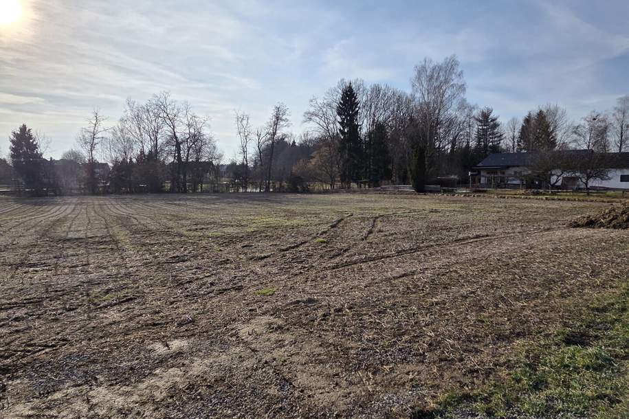 Baugrundstück im Dorfgebiet mit angrenzendem Freilangrund in sehr ruhiger Lage mit Ganztagssonne., Grund und Boden-kauf, 44.180,€, 8483 Südoststeiermark