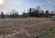 Baugrundstück im Dorfgebiet mit angrenzendem Freilangrund in sehr ruhiger Lage mit Ganztagssonne.