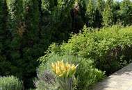 Attraktive 4-Zimmer-Gartenwohnung mit ca. 190m² Eigengarten und Carport in Klosterneuburg