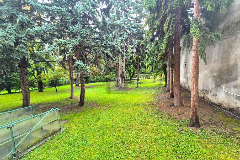WOHNOASE MIT GRÜNBLICK UND WOHLFÜHLATMOSPHÄRE, Wohnung-kauf, 420.000,€, 1230 Wien 23., Liesing