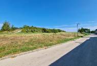 Erstbezug-Doppelhaushälften in Schwechat mit Luxus-Ausstattung und Ausblick über den Park. Grünruhelage mit sehr guter Infrastruktur in Gehweite