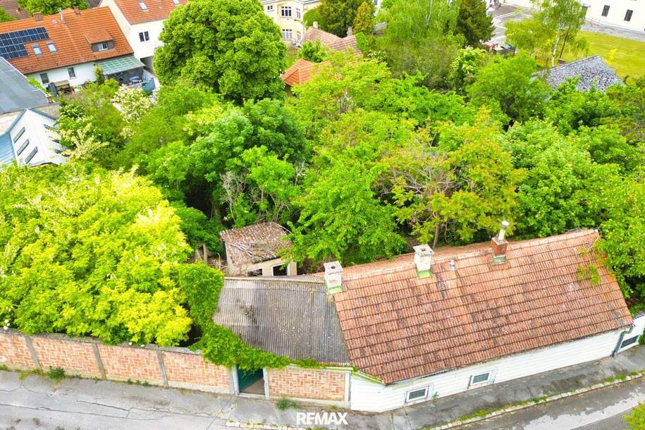 PREIS REDUZIERT! HANDWERKER GESUCHT! Haus in Matzen, Haus-kauf, 89.000,€, 2243 Gänserndorf