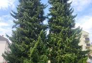 Eigentumswohnung in Bärnbach - Koffer packen und einziehen!