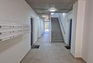 2-Zimmer-Gartenwohnung in Jedlesee nahe Donau | Bezugsbereit