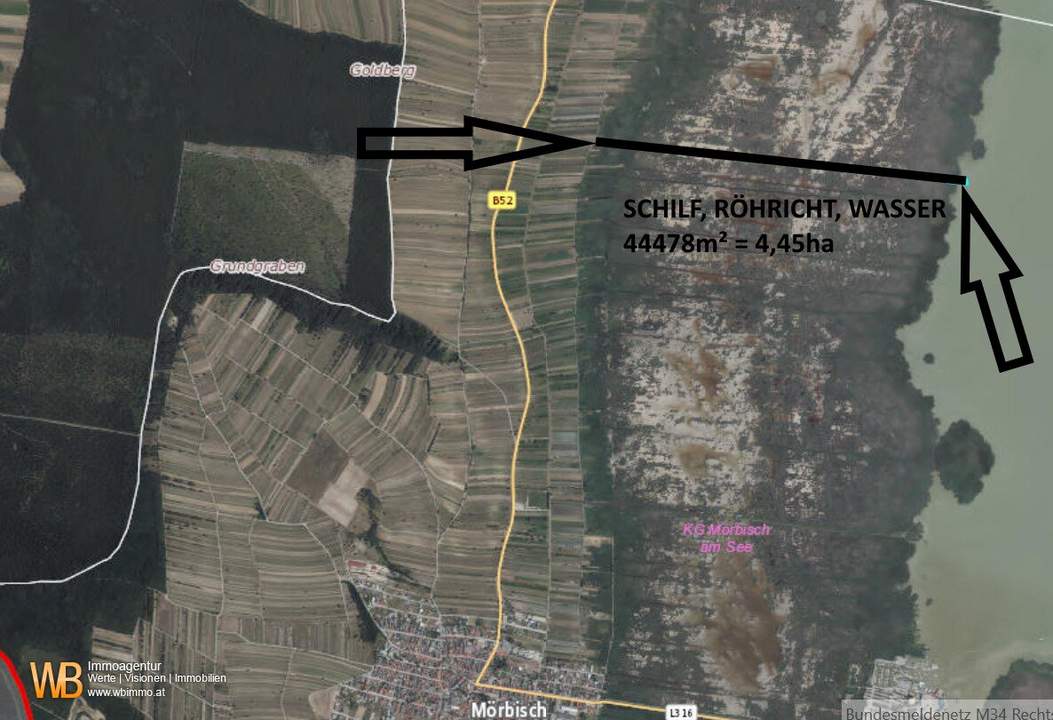 Röhricht/Schilf und Wasserfläche in Mörbisch, 3 Grundstücke ~ 4,45 ha