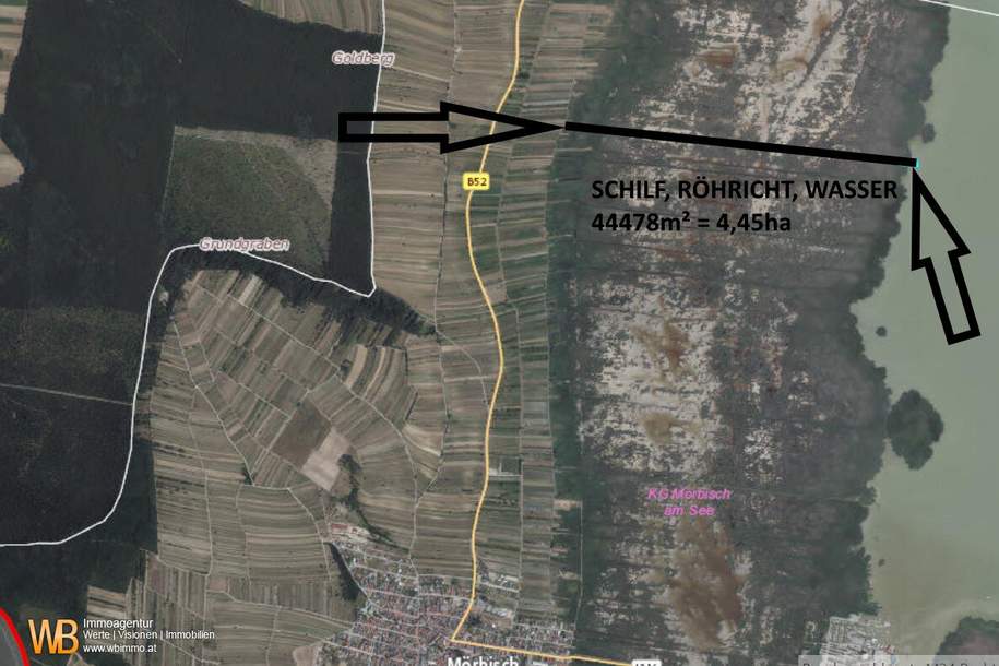 Röhricht/Schilf und Wasserfläche in Mörbisch, 3 Grundstücke ~ 4,45 ha, Grund und Boden-kauf, 19.990,€, 7072 Eisenstadt-Umgebung