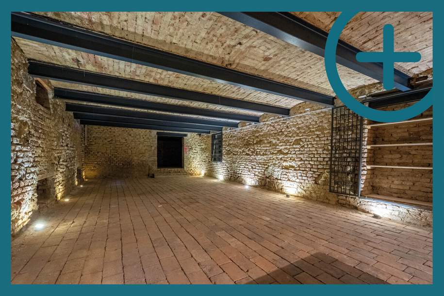 Weinkeller - Lagerfläche, Gewerbeobjekt-miete, 950,60,€, 2340 Mödling