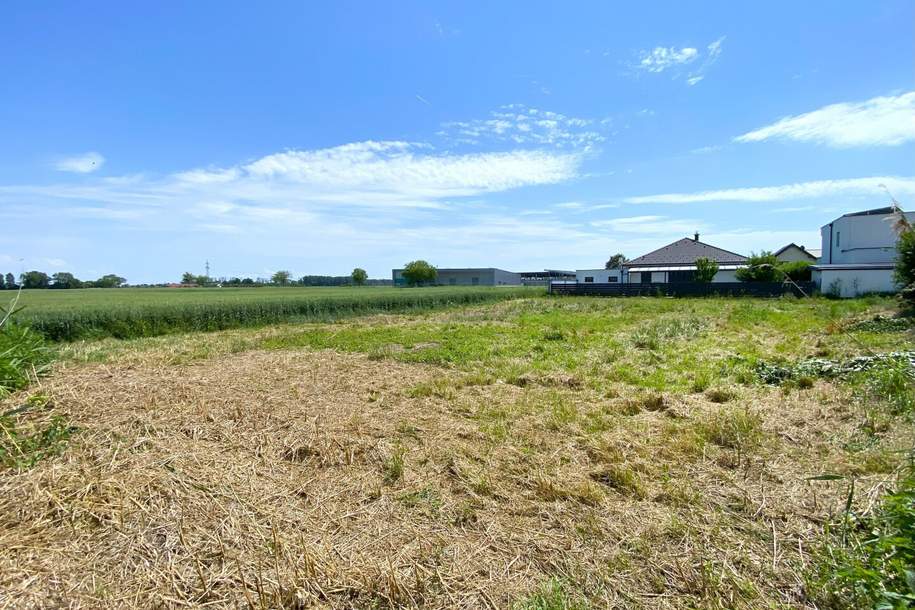 Perfekt für Häuslbauer und als Anlage: Baugrundstück I Grünruhelage I unverbautes Gegenüber I Kein Bauzwang!, Grund und Boden-kauf, 275.000,€, 2441 Baden