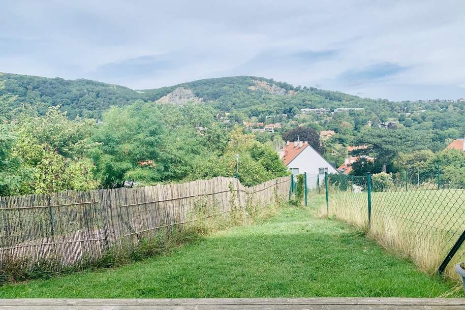 Charmante 2-Zimmer-Wohnung mit Terrasse und Garten, sowie zwei Aussenstellplätze, Wohnung-miete, 950,00,€, 2371 Mödling