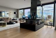Wunderschönes Penthouse mit Pool und prachtvollem Blick, Nähe Kahlenberg