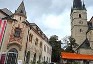 Helle Büroräume in Zentrumsnähe in Haag zu vermieten