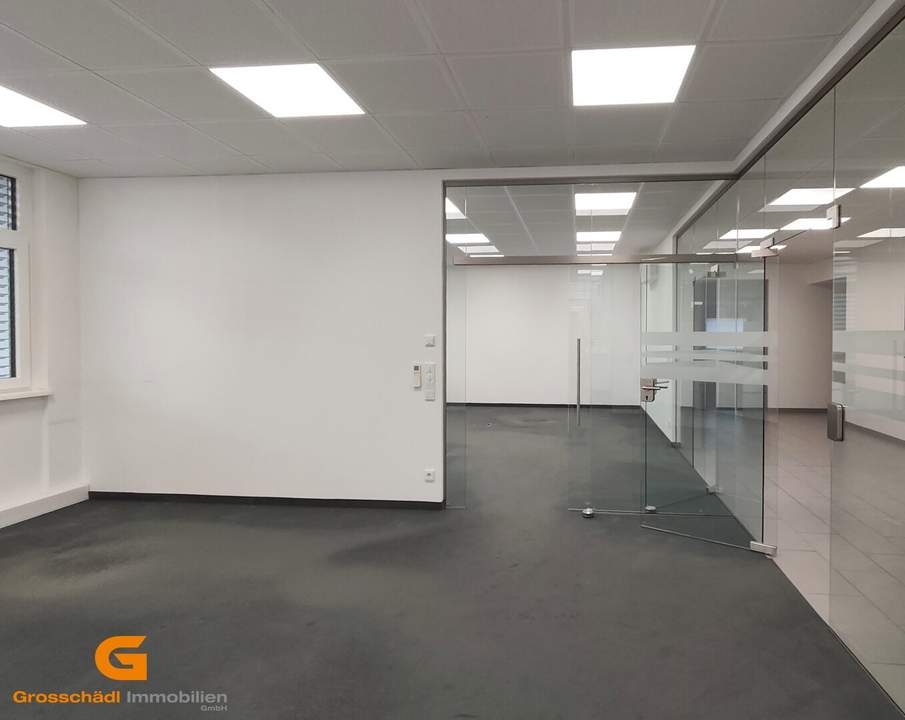 Salzburg Süd - Büro / Ausstellungsflächen im Erdgeschoss mieten