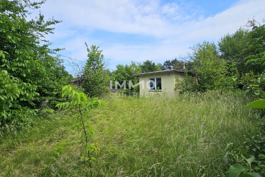 Neuer Preis!! Platz für Wohnträume – großes, erschlossenes Grundstück mit Altbestand - für Familie oder Projektbau, Grund und Boden-kauf, 420.000,€, 2603 Wiener Neustadt(Land)