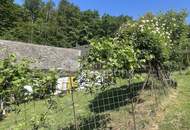 Das Paradies ist hier.....