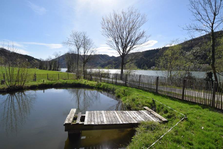 Freizeitgrund mit 2 Fischteichen an der Donau, Grund und Boden-kauf, 57.000,€, 4381 Perg
