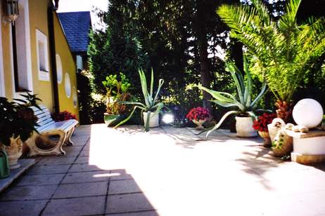 Villa im Dornröschenschlaf-Topliegenschaft zum Bestpreis- wunderschöne Lage in Perchtoldsdorf, Haus-kauf, 799.000,€, 2380 Mödling